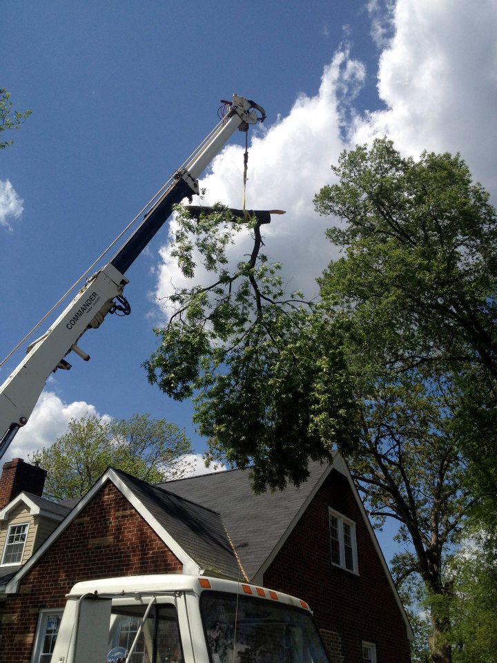 Crane-assisted tree removal over a residential structure in Maryland