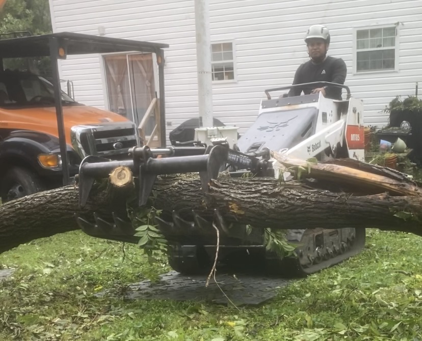 Specialized equipment and rigging used for technical tree removal in Maryland