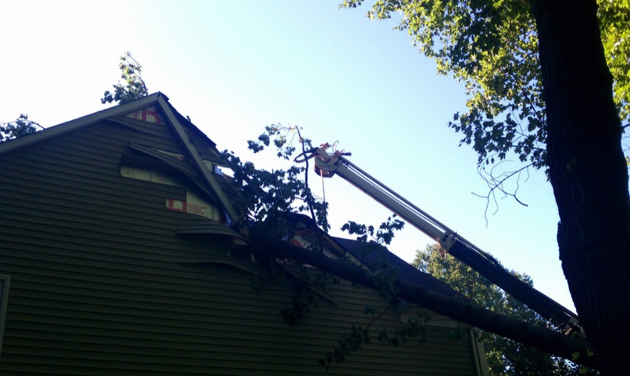 Fallen tree remediation and removal after storm damage