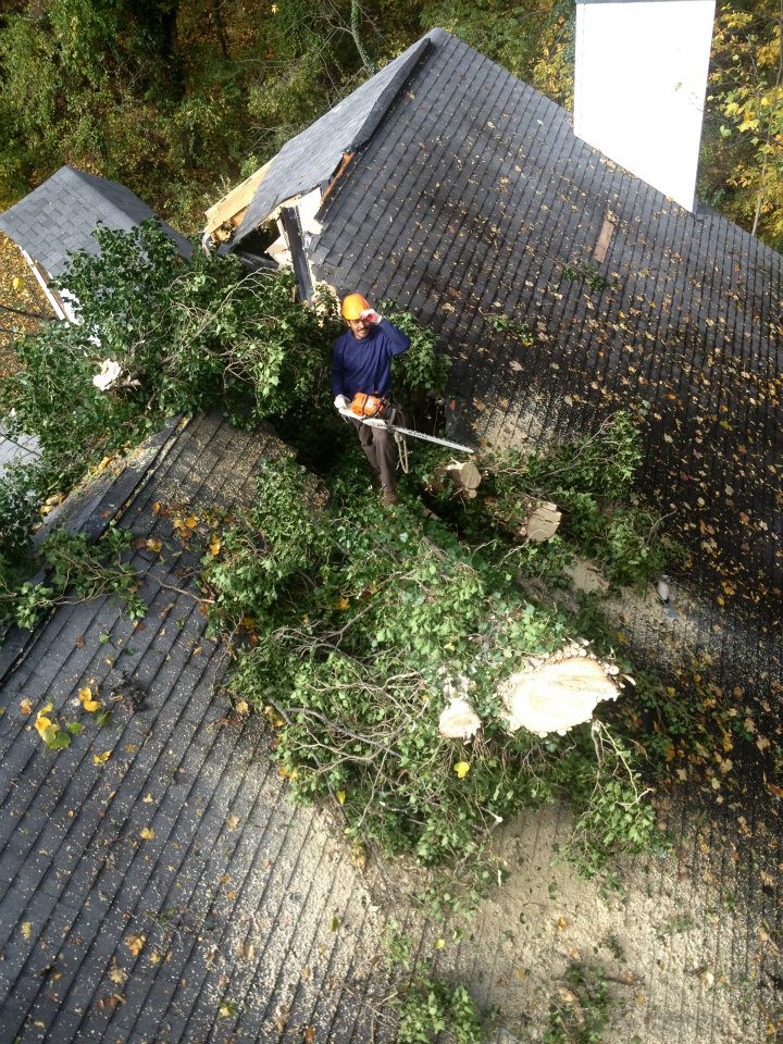Emergency storm damage tree response by Barton's Tree Care