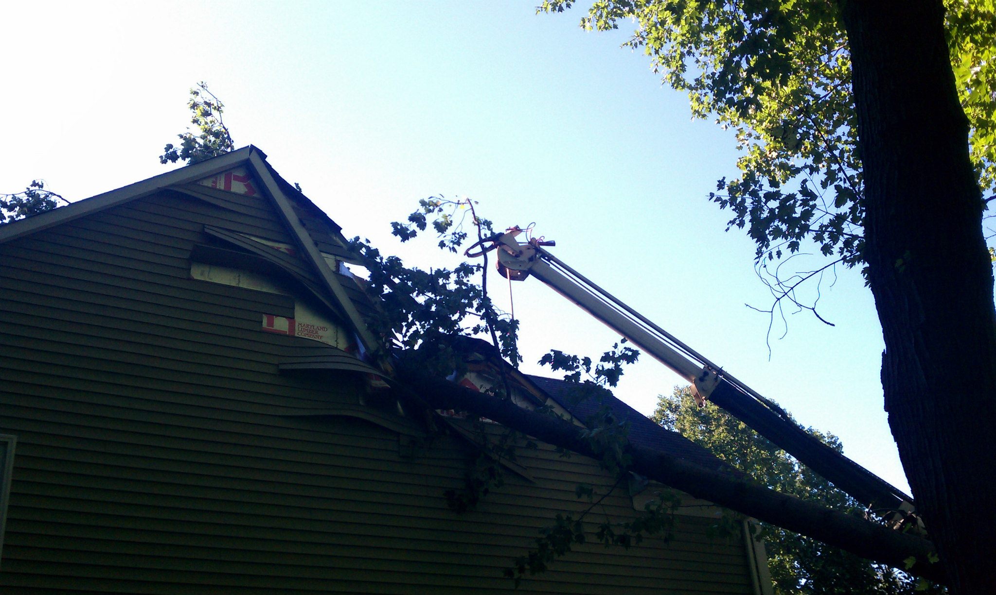 Fallen tree remediation and removal after storm damage