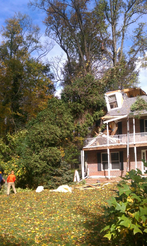 Storm-damaged tree resting on a residential structure in Maryland