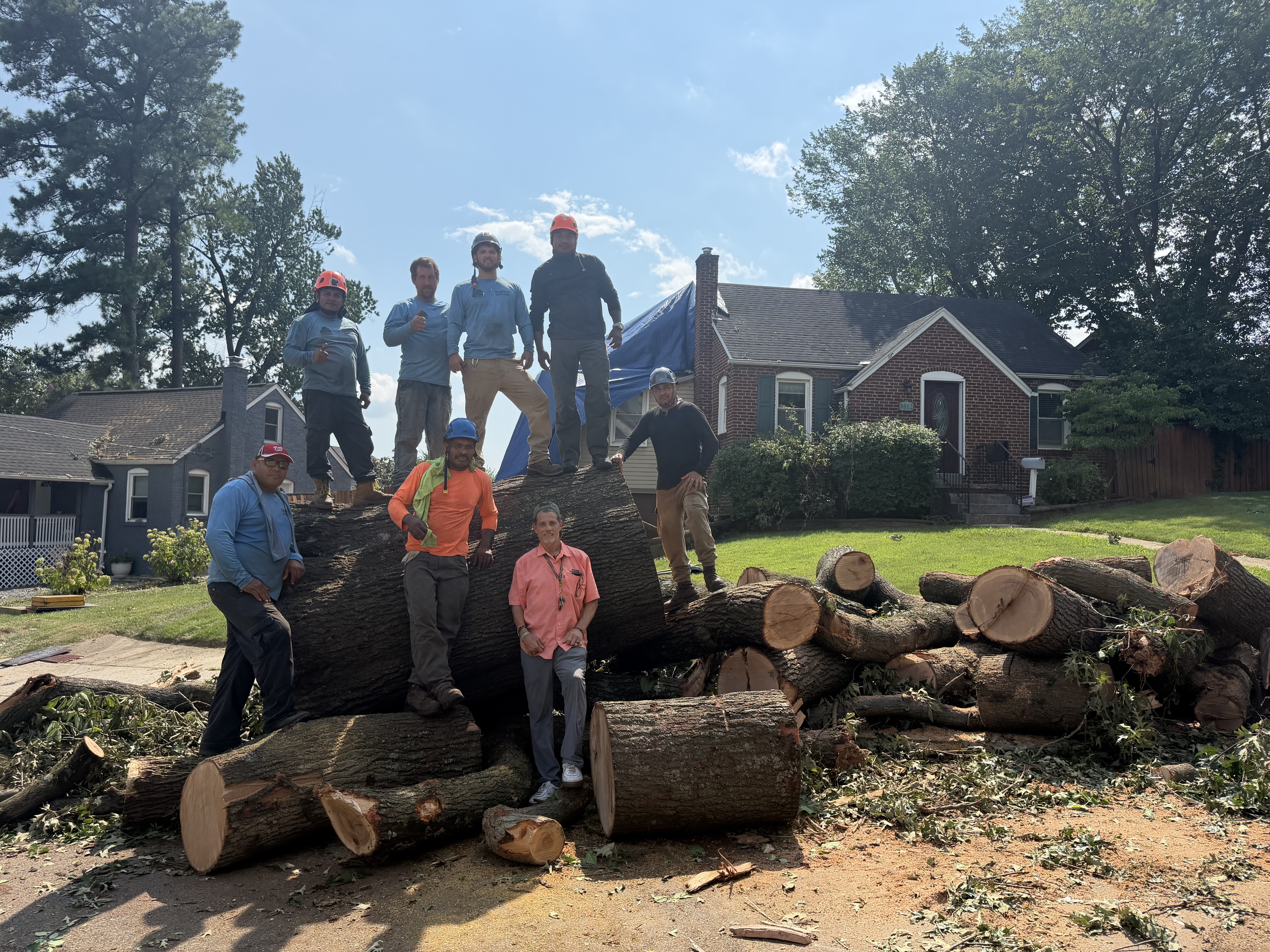 Barton's Tree Care team