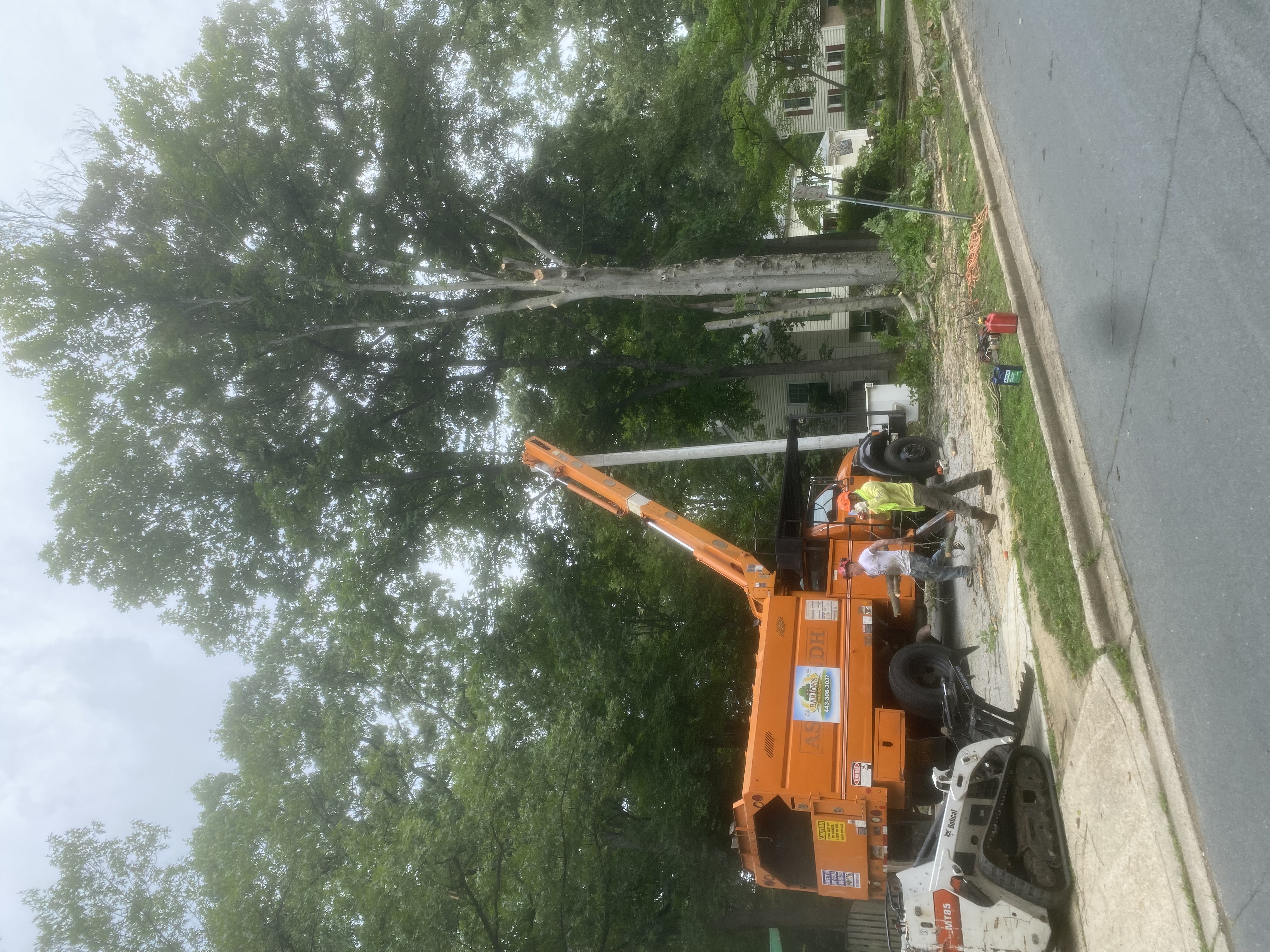 Barton's orange truck and crew performing active tree work along a residential street