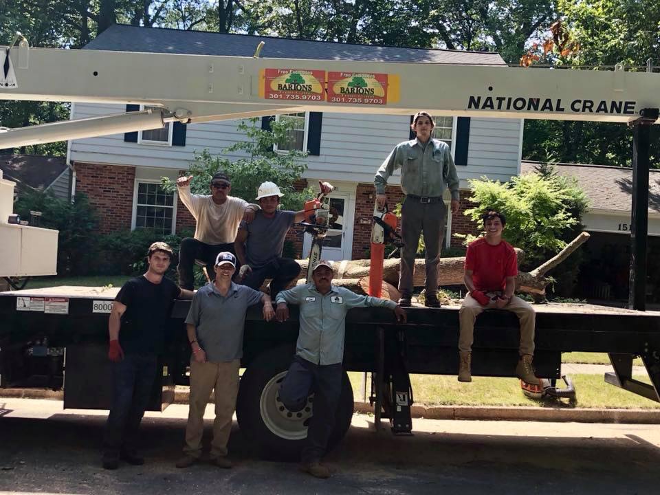 Barton's Tree Care team